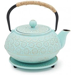 Cast Iron Tea Kettle Light Blue Floral Teapot with Infuser and Trivet 27 Ounces