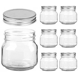 Mason Jars Regular Mouth 8 oz Clear Glass Jars with Silver Metal Lids for Sealing Food Storage Overnight Oats Jelly Dry Food Jam,DIY Magnetic Spice Jars 6 Pack