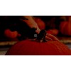 Halloween Moments | Adult and Kid Bundle Pumpkin Carving Kit with a Pumpkin Glove Scraper Includes 2 Knives for Carving Jack-O-Lanterns